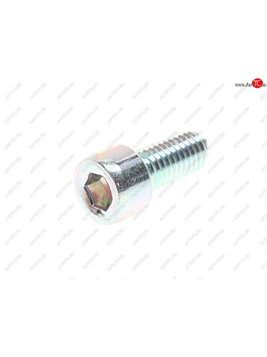 Болт SSANGYONG Actyon (06-10-),Kyron (05-),Actyon Sport (06-),Rexton (03-) корзины сцепления OE SSANGYONG 9170808181