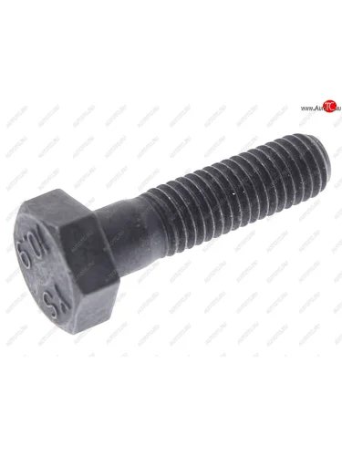 Болт CHEVROLET Lanos (97-) (1.6 DOHC) распредвала OE GENERAL MOTORS 94500842 GENERAL MOTORS 94500842