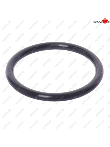 Кольцо уплотнительное DAEWOO CHEVROLET корпуса термостата OE GENERAL MOTORS 96143112