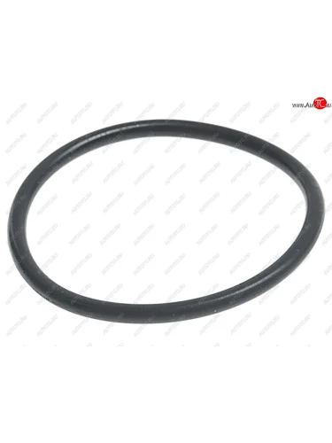 Кольцо уплотнительное MERCEDES ML (W163) датчика уровня масла OE MERCEDES a0249977445