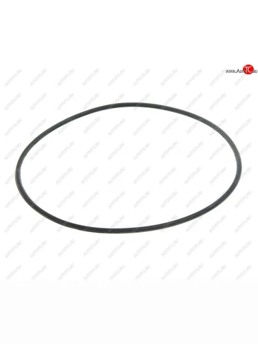 Кольцо уплотнительное КАМАЗ-6520,6460 ступицы задней БРТ (ОАО КАМАЗ) KAMAZ а1-1788б