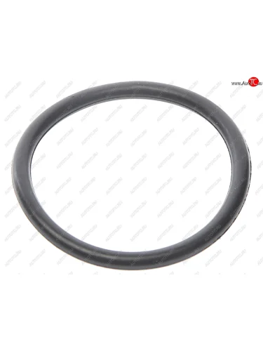 Кольцо ГАЗель Next уплотнительное подшипника задней ступицы (58х4) NO NAME c41r92.3104032