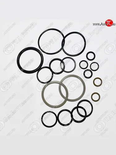 Ремкомплект цилиндра силового Ц-63 ЮМЗ (№3004) ВИТЯЗЬ ВИТЯЗЬ ц63*рк