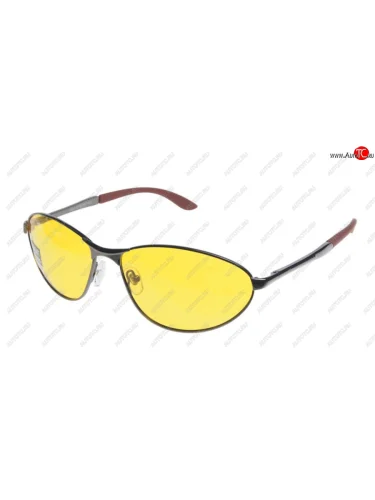 Очки поляризационные CAFA FRANCE  cf8199y