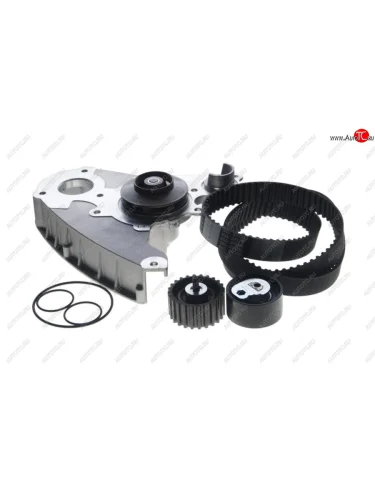 Комплект ГРМ FIAT Ducato IVECO Daily (02-) с насосом водяным CONTITECH CONTITECH ct1148wp1