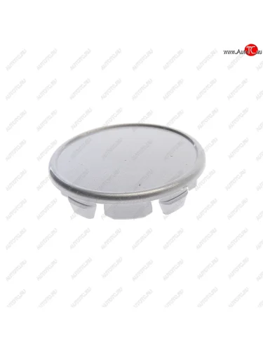 Колпачок диска колесного центральный серебристый 66584.9 NO NAME d58kr