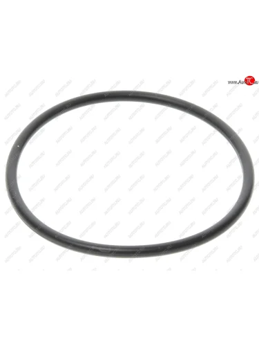 Кольцо уплотнительное CHERY Tiggo 5 (14-20) фильтра масляного OE CHERY e4g16-1012031