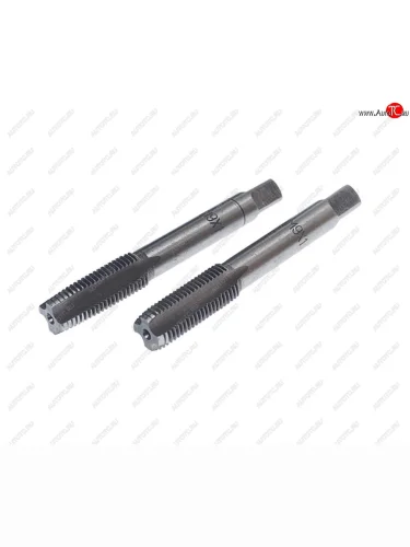 Метчик М09x1.0мм комплект 2шт. в пластиковом футляре ЭВРИКА ЭВРИКА er-00910m