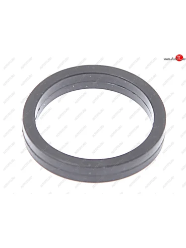 Кольцо уплотнительное HYUNDAI Accent (06-) KIA Carens (06-) форсунки топливной BOSCH BOSCH f00vc38100 BOSCH f00vc38100
