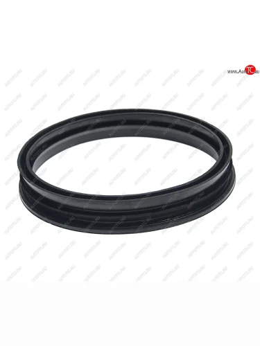 Кольцо уплотнительное FORD Focus 2 насоса топливного MEAT&DORIA MEAT&DORIA gsk05