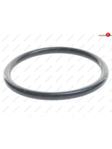 Кольцо уплотнительное JAC N75,N80 КАМАЗ Компас-9 вторичного вала КПП (резиновое) OE JAC m-1701401