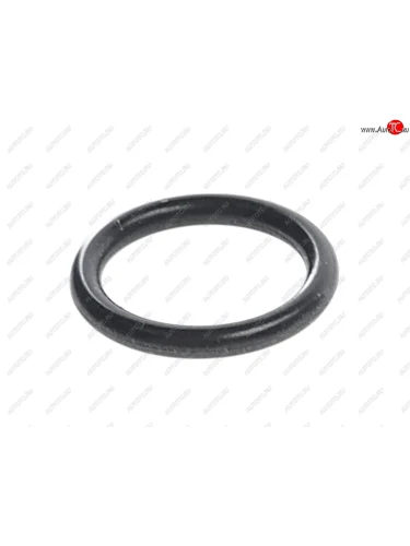 Кольцо уплотнительное VW Golf,Passat (01-) жиклера омывателя фар OE VAG n90303801 VAG n90303801