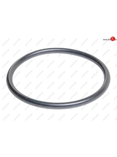 Кольцо уплотнительное VW AUDI маслоотделителя OE VAG n90617501