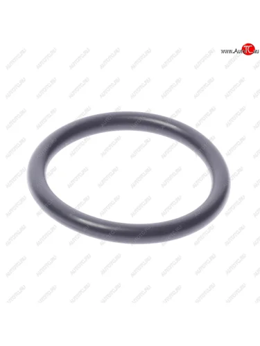 Кольцо уплотнительное VW Passat (B6) (05-) патрубка радиатора охлаждения OE VAG n90765301