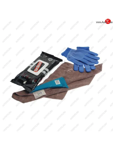 Набор подарочный №1 (салфетка влажная,скребок,салфетка,перчатки) КЛАУДИС NO NAME набор №1 NO NAME набор №1