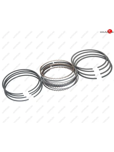 Кольца поршневые DAEWOO Nexia (95-) (1.5) (SOHC) CHEVROLET Lanos (97-) d+0.25 комплект NSP NSP nsp0193742294