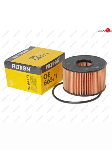Фильтр масляный FORD Mondeo 3 (2.02.2 DTDI),Transit FILTRON FILTRON oe6651