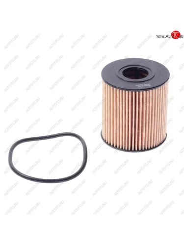 Фильтр масляный FORD C-Max (07-10),Focus (03-07) FILTRON FILTRON oe673