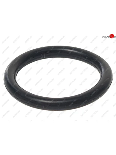 Кольцо уплотнительное VW Passat (98-05) AUDI 100 (91-92) патрубка системы охлаждения PATRON PATRON pg5-2138