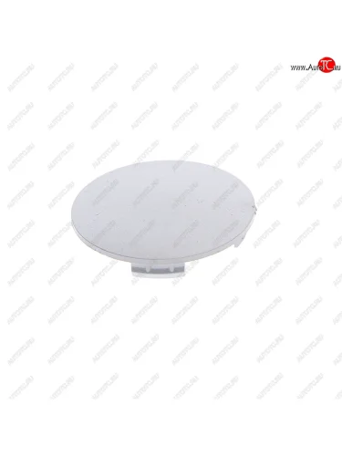 Колпачок диска колесного центральный серебристый 60.5554.8 NO NAME promakr