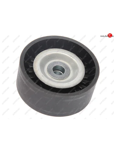 Ролик приводного ремня FORD Transit (TT9) (06- ) обводной PATRON PATRON pt34704