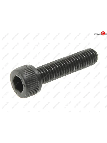 Болт КАМАЗ,ПАЗ дв.CUMMINS ISBe.ISDe крепления кольца датчика скорости OE (ОАО КАМАЗ) KAMAZ r4895877