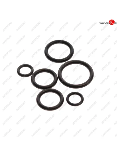 Кольцо уплотнительное ЛАДА Largus RENAULT Logan трубки радиатора комплект (6шт.) AUTO-GUR AUTO-GUR rr801
