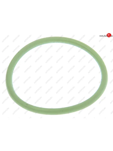 Кольцо ЯМЗ-650.10 уплотнительное трубы теплообменника зеленое силикон ПТП ПТП ртр000709