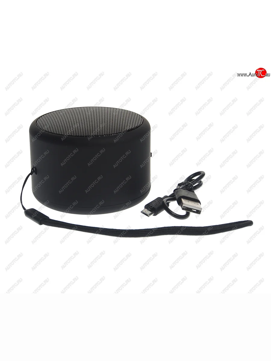 Колонка беспроводная bluetooth Mini TFN TFN tfn-bs01-01bk с доставкой в г. Кемерово
