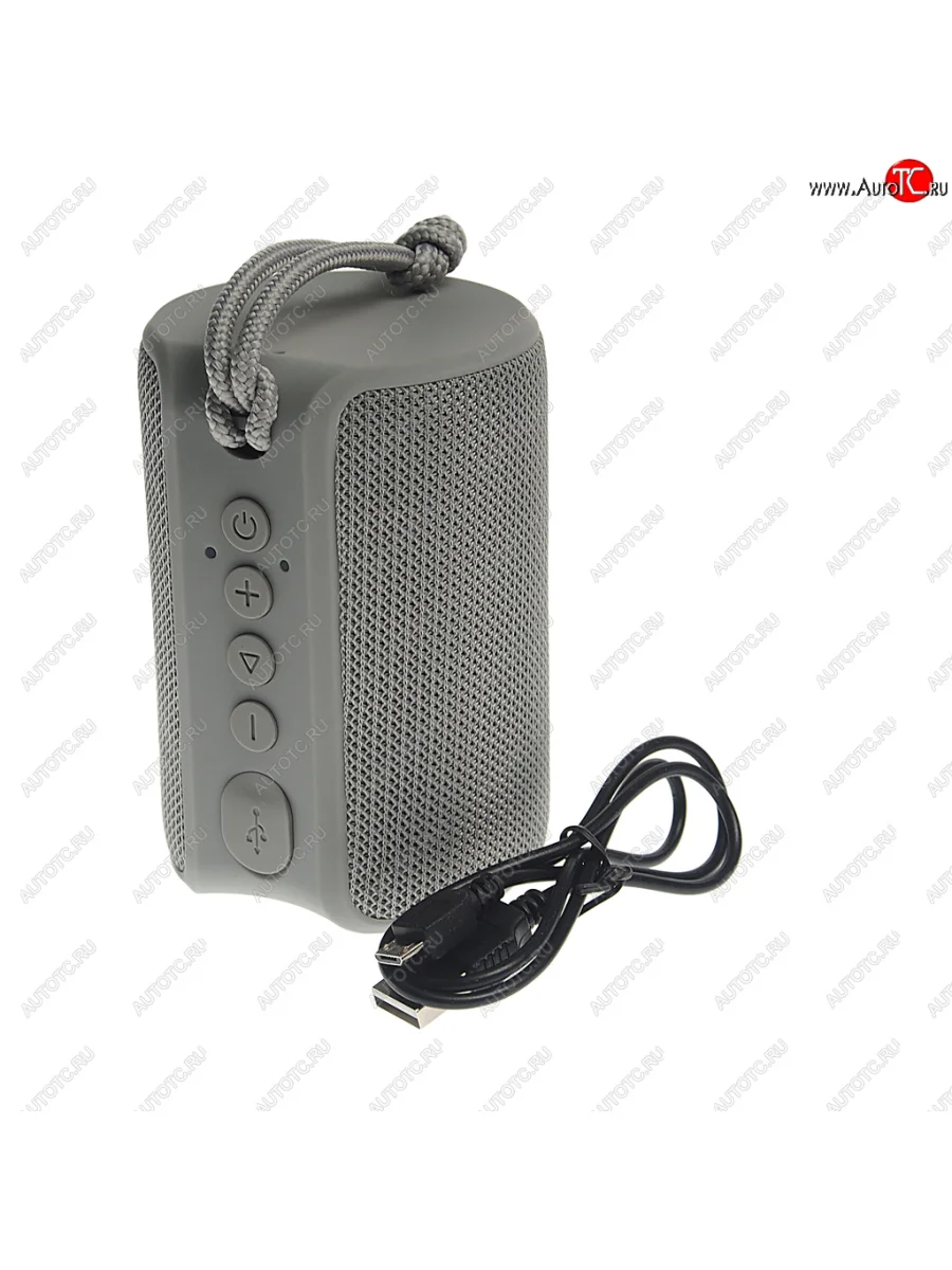 Колонка беспроводная bluetooth Play TFN TFN tfn-bs04-01gr с доставкой в г. Кемерово