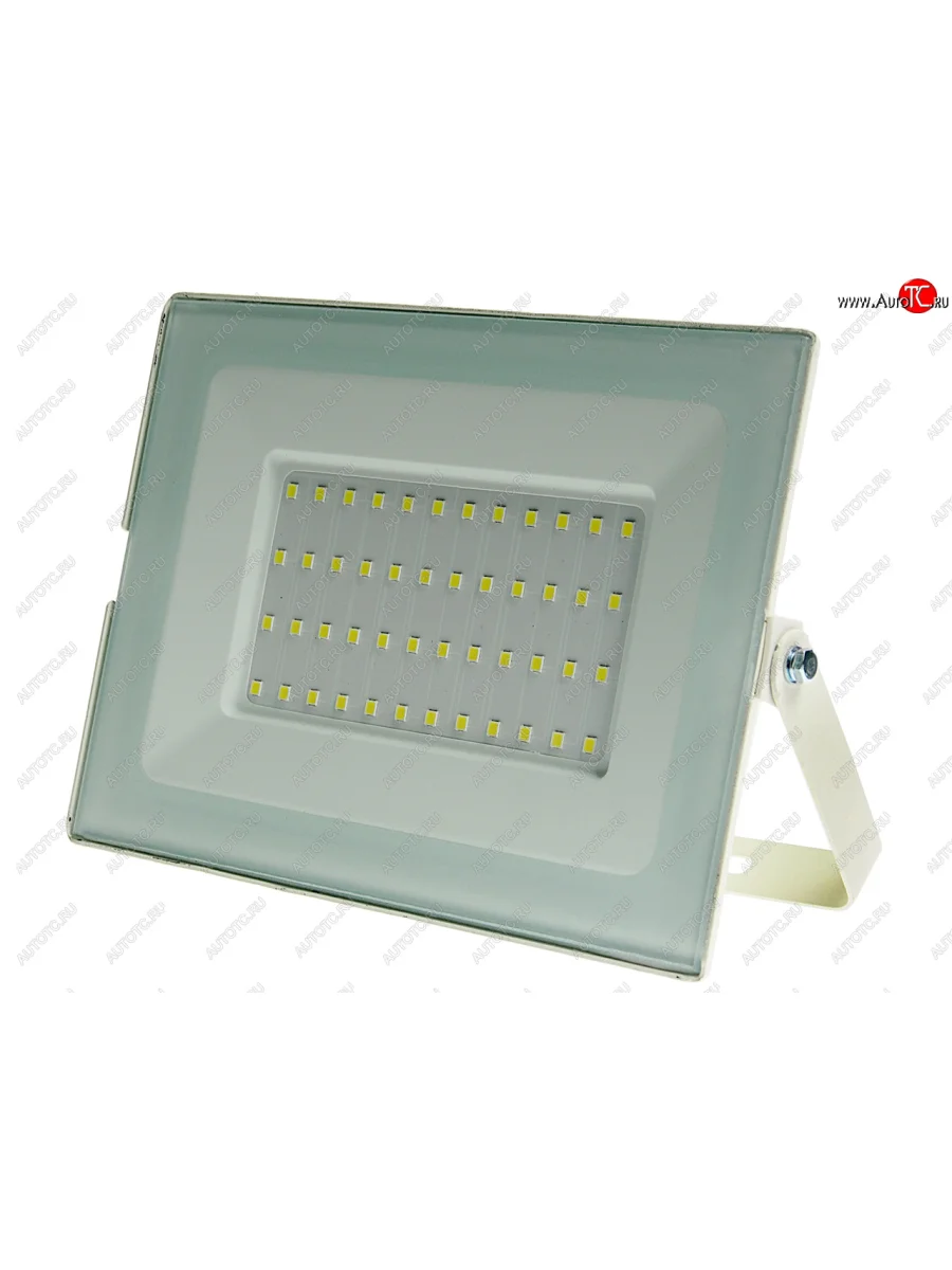 Светильник светодиодный 220V 50W 6500K белый ULTRAFLASH ULTRAFLASH uf-fl5001w с доставкой в г. Кемерово