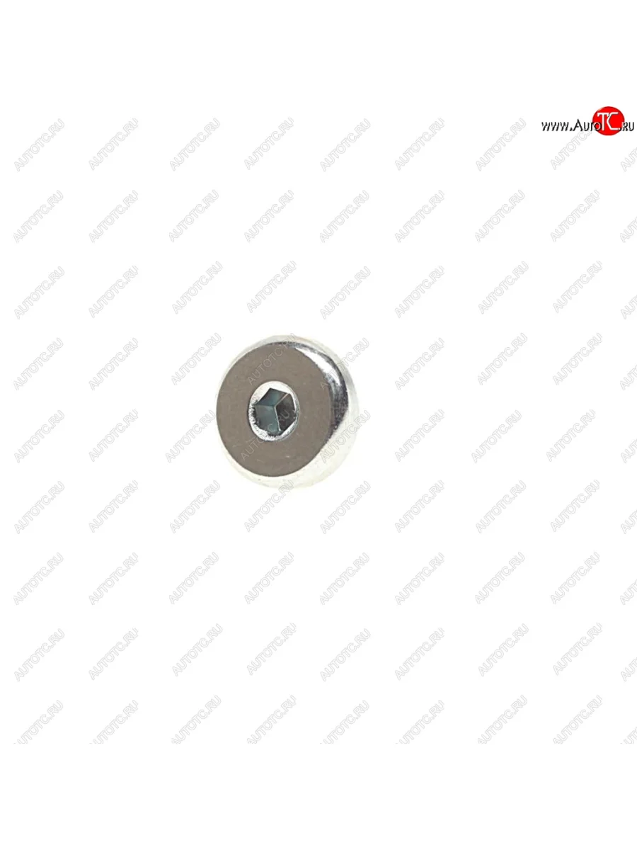 Пробка сливная SKODA Octavia (04-) картера масляного КПП OE VAG wht000310a с доставкой в г. Кемерово