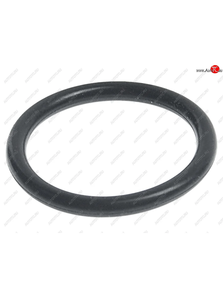 Кольцо уплотнительное VW AUDI OE VAG wht007120 с доставкой в г. Кемерово