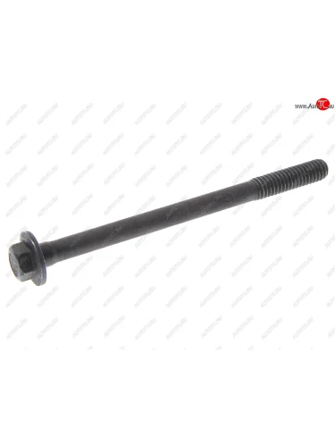Болт CHEVROLET Captiva OPEL Antara головки блока (ACDelco Professional) OE GENERAL MOTORS 19352499
