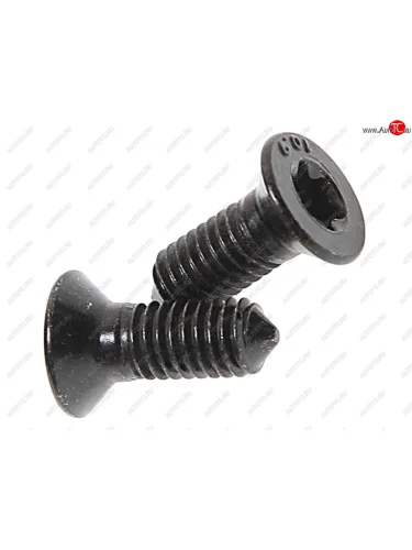 Болт GM VAG крепления диска тормозного (М6х1) комплект (2шт.) TEXTAR TEXTAR tpm0008 TEXTAR tpm0008