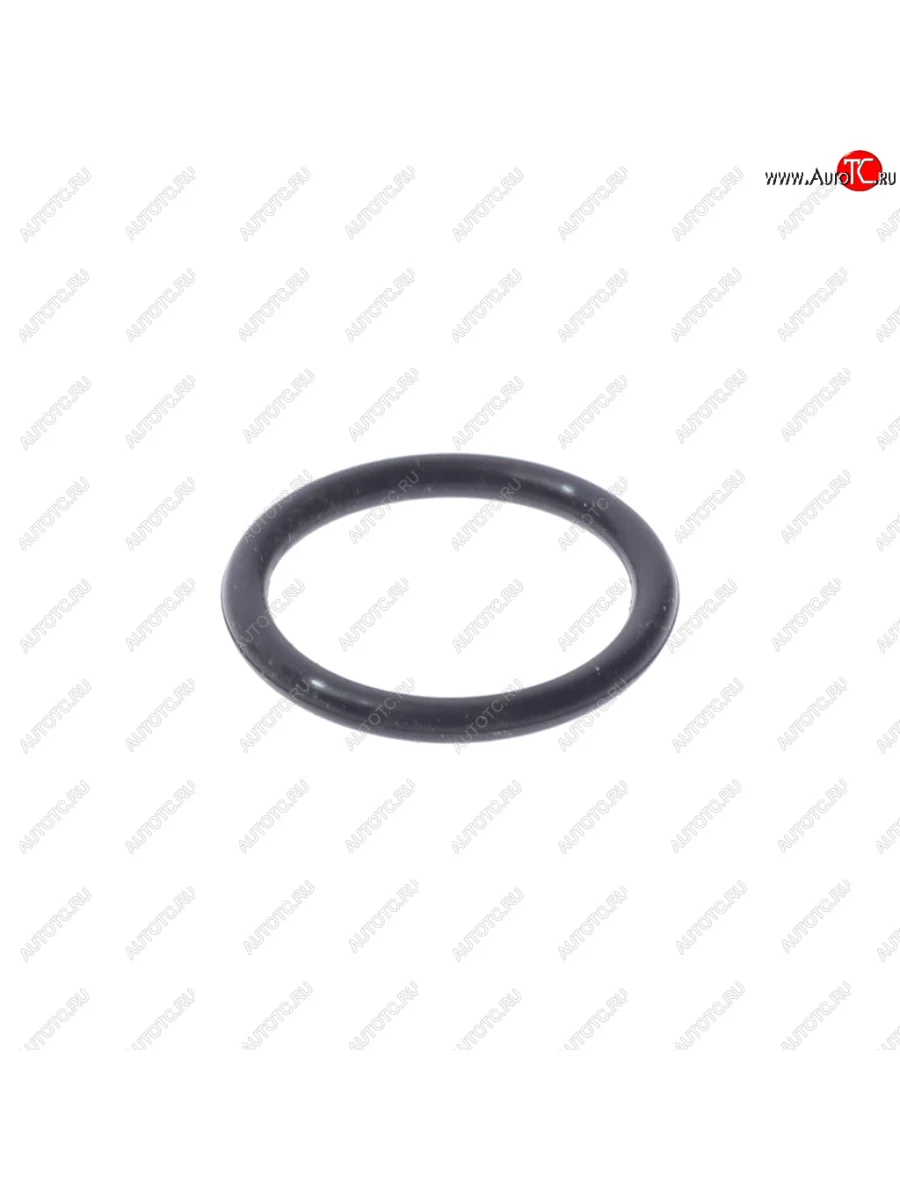 Кольцо уплотнительное VW AUDI регулятора фаз ГРМ OE VAG wht002789 с доставкой в г. Кемерово