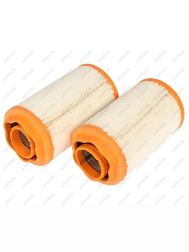 Элемент фильтрующий КАМАЗ-54901 воздушный комплект (основной + доп.элементы) ЛМЗ ЛМЗ лнае 54901-1109560-20