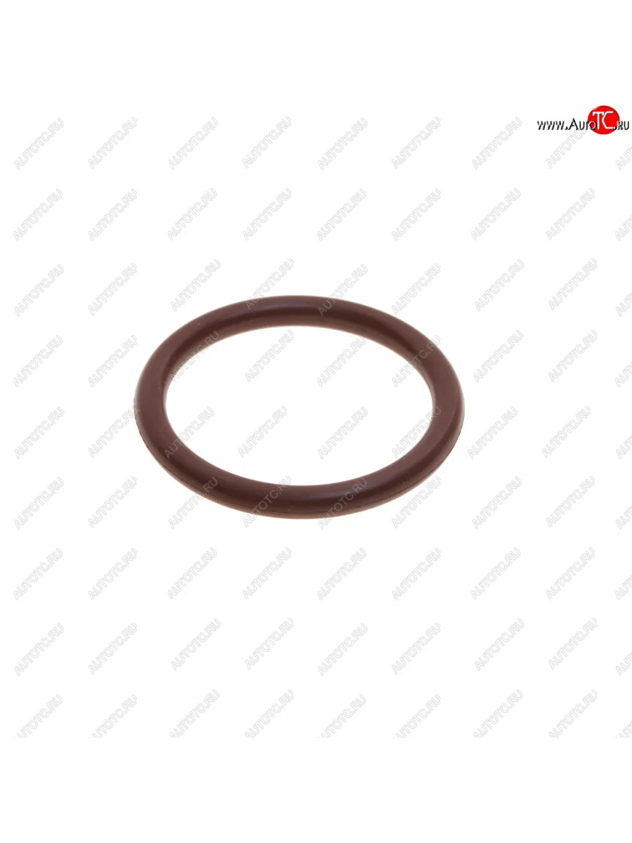 Кольцо уплотнительное SHACMAN SHAANXI форсунки резиновое (D=25мм) дв.WP12 OE SHACMAN 612630090007 с доставкой в г. Кемерово