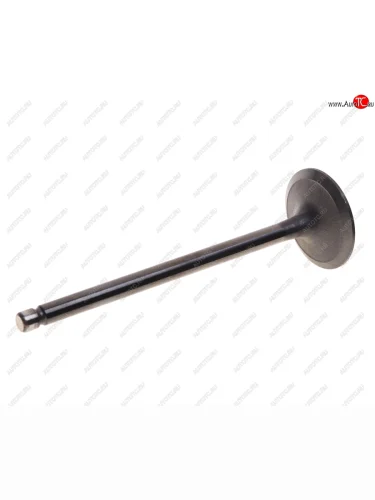 Клапан впускной JAC N56 OE JAC 1003014fe300