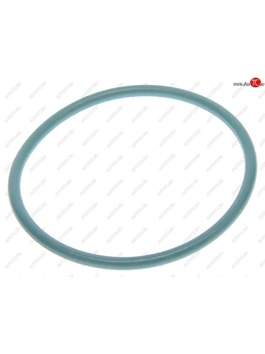 Кольцо уплотнительное AUDI VW OE VAG wht010080
