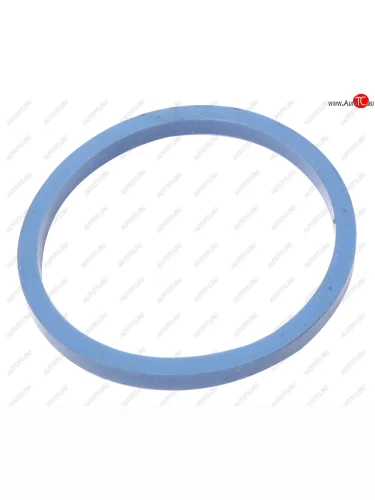 Кольцо ЯМЗ-534 фильтра тонкой очистки топлива АВТОДИЗЕЛЬ ЯМЗ 5340.1117304