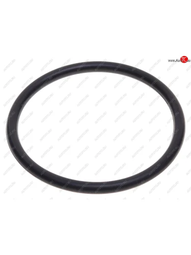 Кольцо уплотнительное JAC K7 ступицы передней OE JAC 10025936