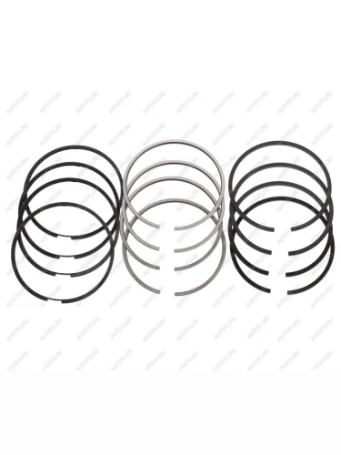 Кольца поршневые RENAULT Clio STD комплект (на двигатель) NSP NSP nsprs76n17