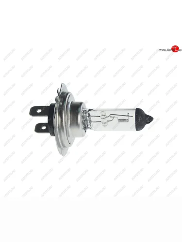 Лампа 12V H7 100W PX26d БЕЛСВЕТ БЭЛЗ h7 акг 12-100 (h7)