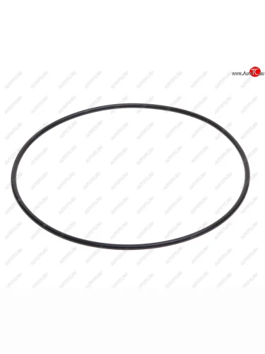 Кольцо уплотнительное JAC N350 компрессора воздушного OE JAC 30800010003