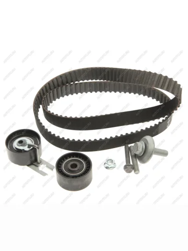 Комплект ГРМ PEUGEOT Partner (06-) INA INA 530037510