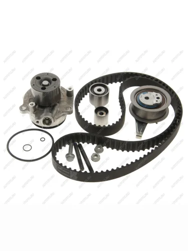 Комплект ГРМ VW Crafter (06-) с насосом водяным INA INA 530065032