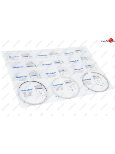 Кольца поршневые УАЗ-3160,315195 УМЗ-421 d=100.0 на двигатель Чехия-Бузулук (ОАО ЗМЗ) ЗМЗ 041000-1000100-00 ЗМЗ 041000-1000100-00