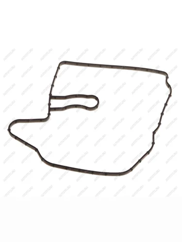 Кольцо уплотнительное JAC N56 фланца насоса топливного OE JAC 1002024fe010