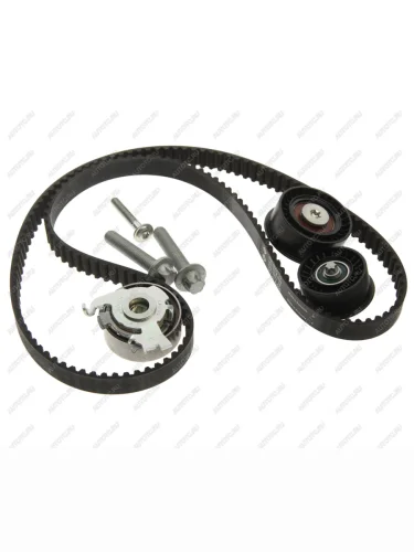 Комплект ГРМ OPEL (1.6) (X16XEL) INA INA 530044110